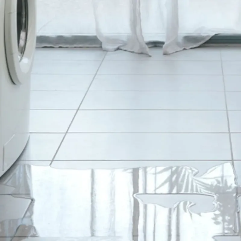 Appliance Leak Cleanup in Wilmerding, PA